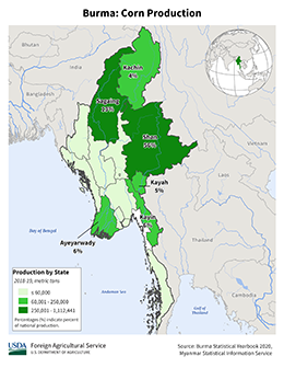 images\BM\cropprod\Burma_Corn_preview.png